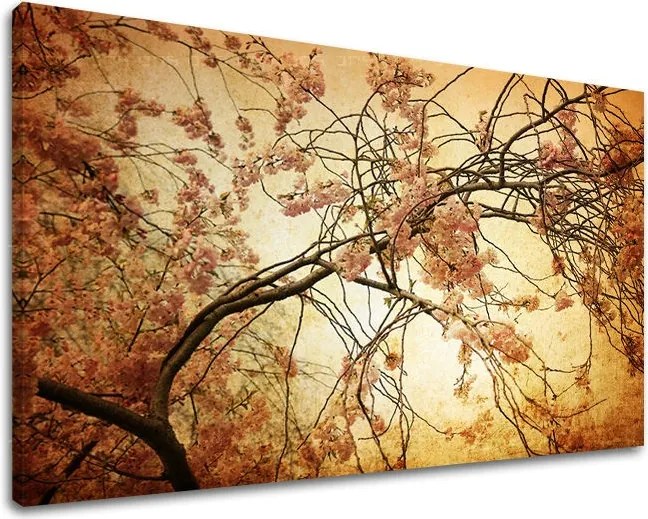 Obraz na stenu KVETY KV009E11 - 20x30 cm