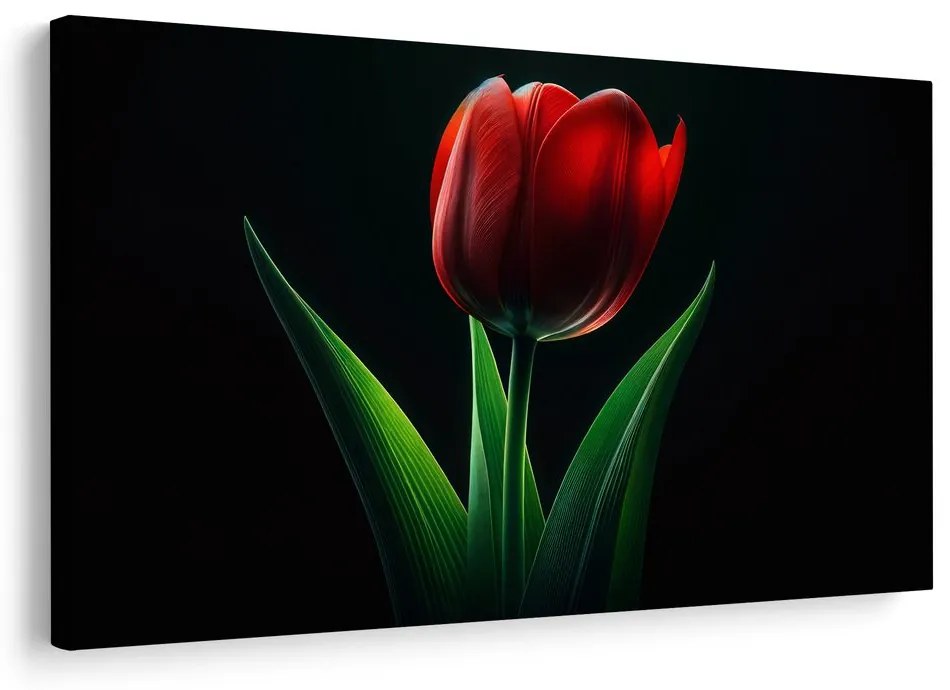 Obraz červená tulipánová elegancia