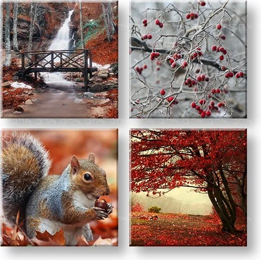 Obraz na stenu Beauty of Autumn 4 dielny XOBKOL11E42