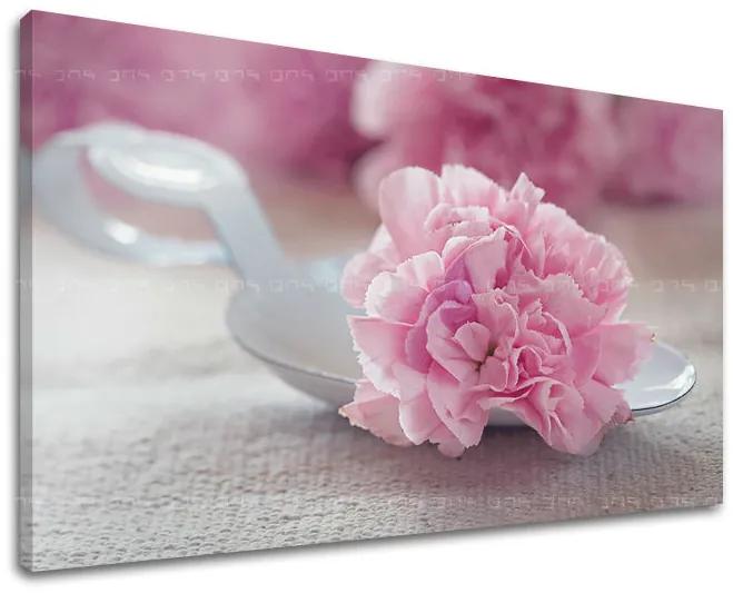 Obraz na stenu KVETY | rôzne rozmery