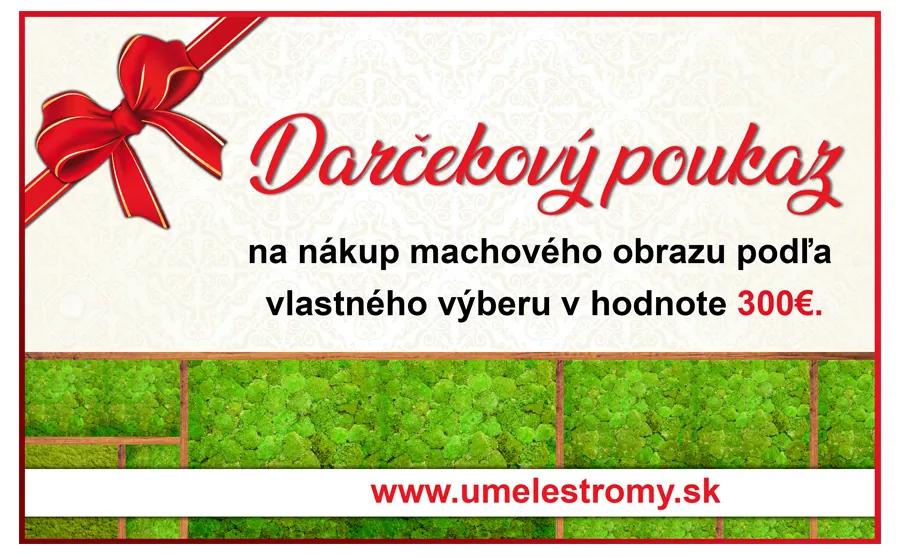 Darčeková poukážka v hodnote 300€