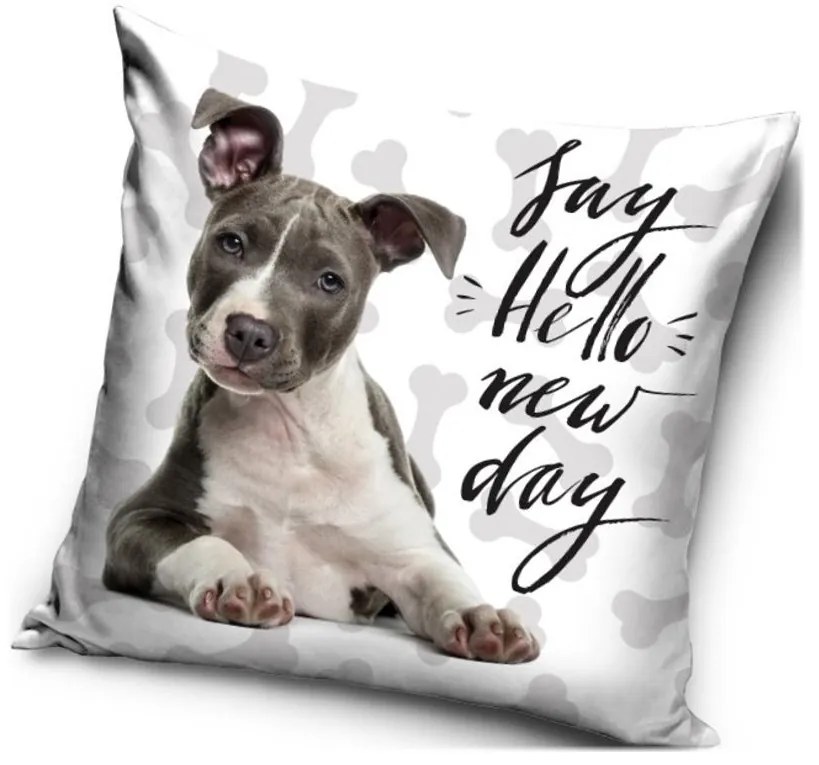 Vankúš s Pitbullom - motív Say hello new day - Pozdrav nový deň - 40 x 40 cm