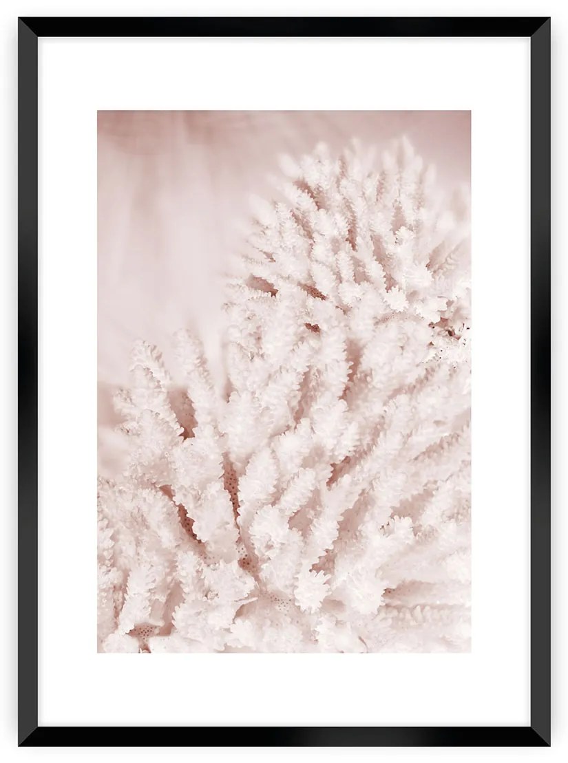 Plagát Pastel Pink II