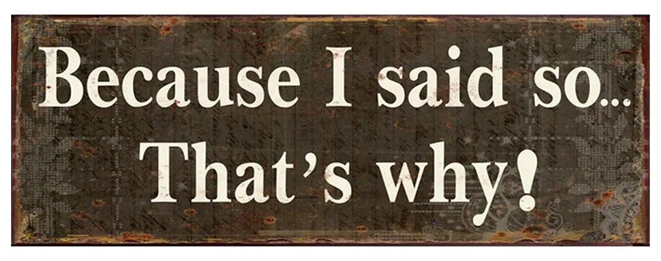 Nástenná kovová ceduľa Because I Said So - 36*1*13 cm