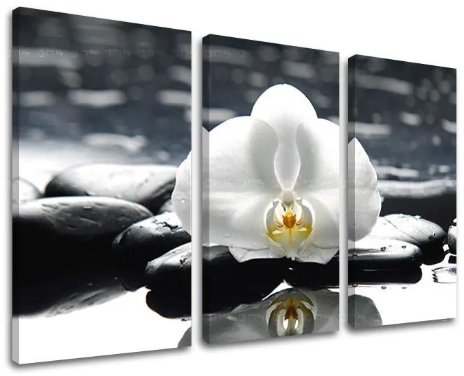 Obraz na stenu FENG SHUI | rôzne rozmery