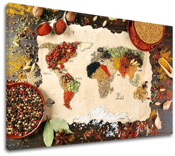 Obraz na stenu KORENIE_071-11 | rôzne rozmery