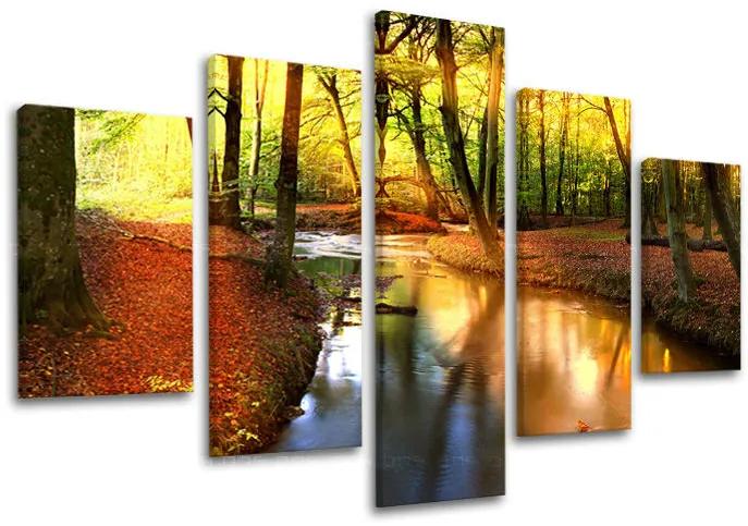 Obraz na stenu STROMY | rôzne rozmery