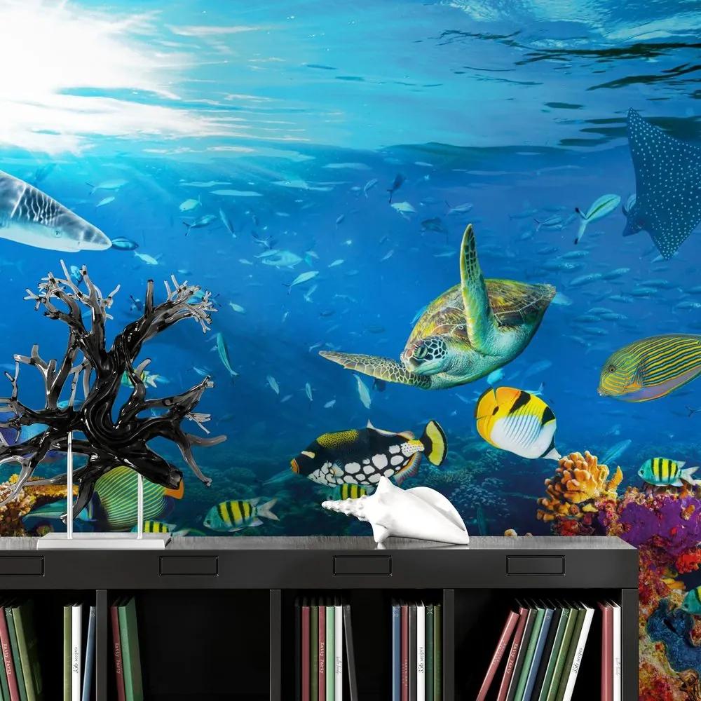 Samolepiaca fototapeta podvodný svet