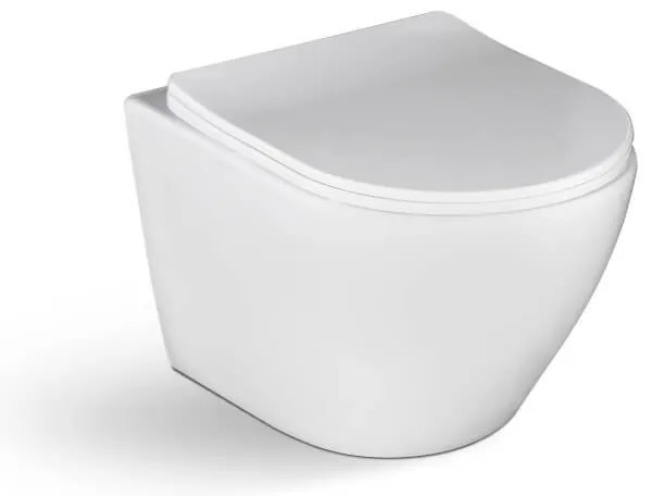 Laveo Desna, závesná WC misa Rimless 485x370x320 mm + toaletné sedadlo, biela lesklá, LAV-VMD_600S