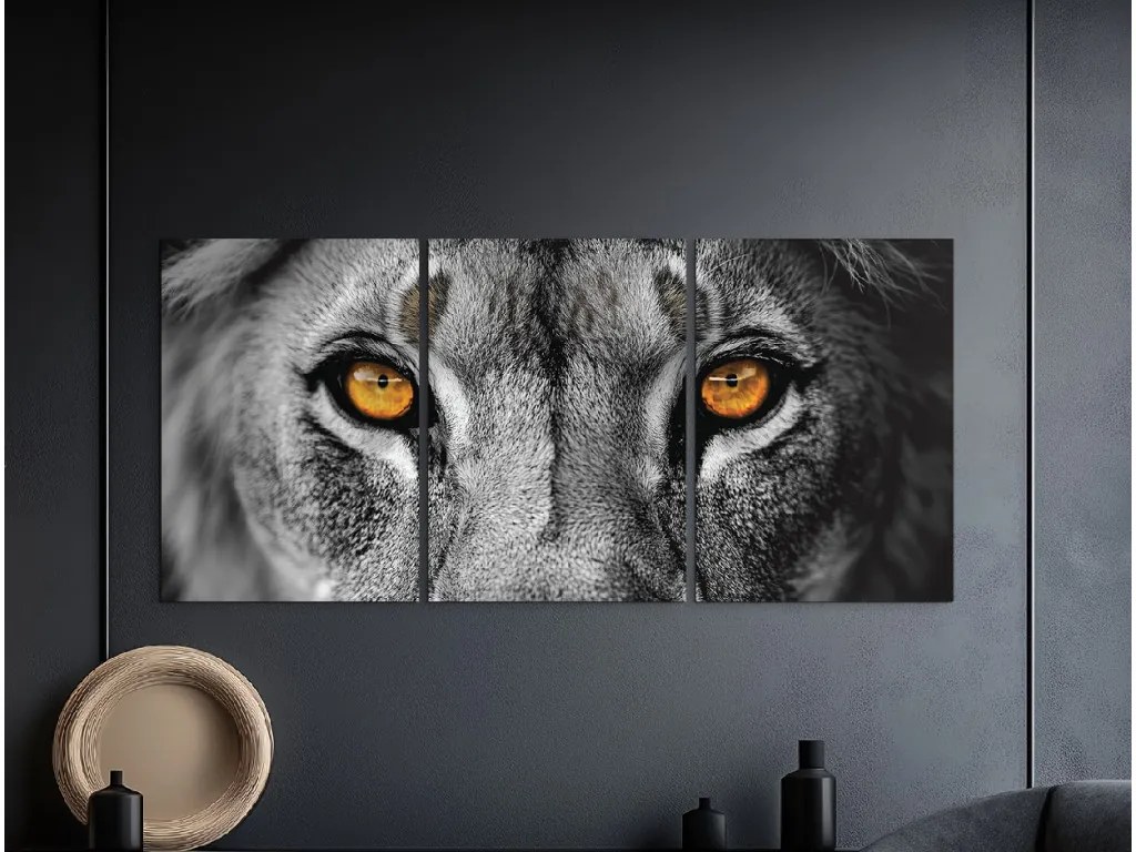 drevko | Trojdielny obraz Pohľad divočiny