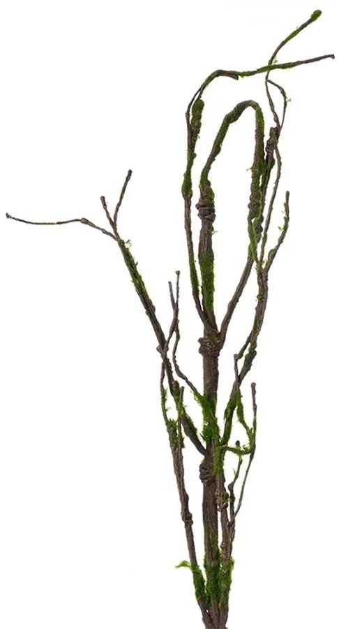 Dekorácia hnedá vetvička so zeleným machom - 28*5*130 cm