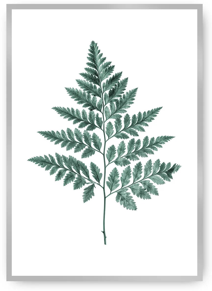 Plagát Fern 21 x 30 cm Emerald Green Plagát Fern 21 x 30 cm Emerald Green