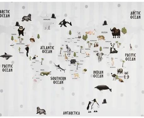 Obraz tlačený na plátne 40x50 PRC1081