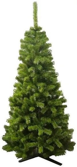 Limpol Jedľa Eliza 2,20 m