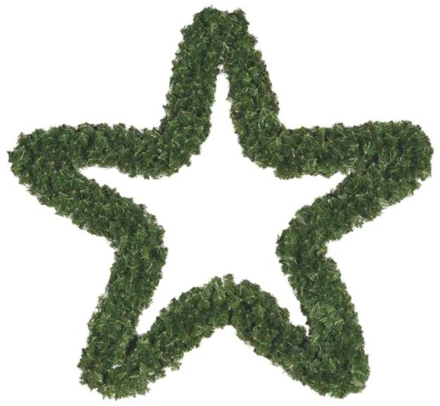 Hviezda kráľovská 100cm