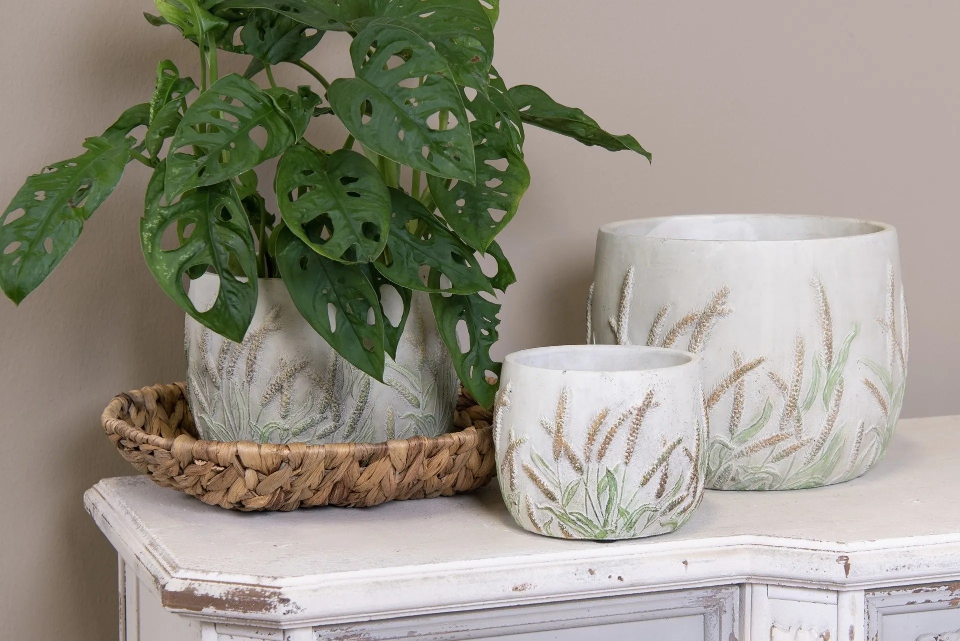 Cementový obal na kvetináč s skorocelom Plantain S - Ø14*11cm