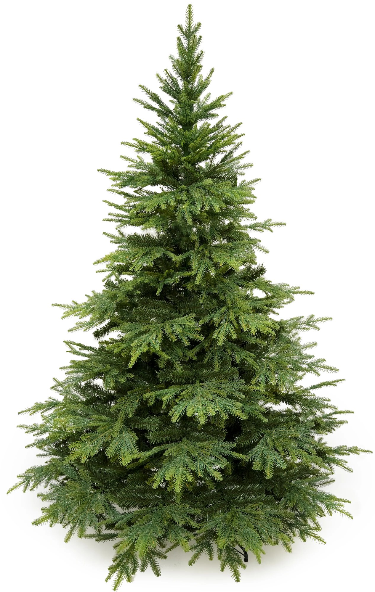 Smrek Kaukazský 3D- 280cm