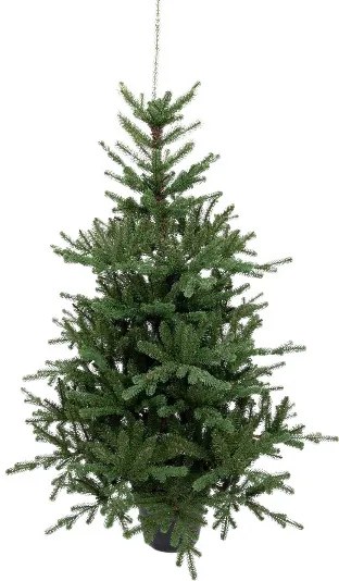 Umelý vianočný stromček v kvetináči 3D Smrek Tirolský 120cm