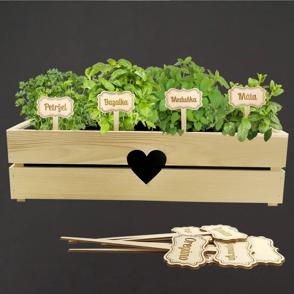 AMADEA Drevené zápichy - sada ceduliek na bylinky, 12 kusov, výška 20 cm, český výrobok