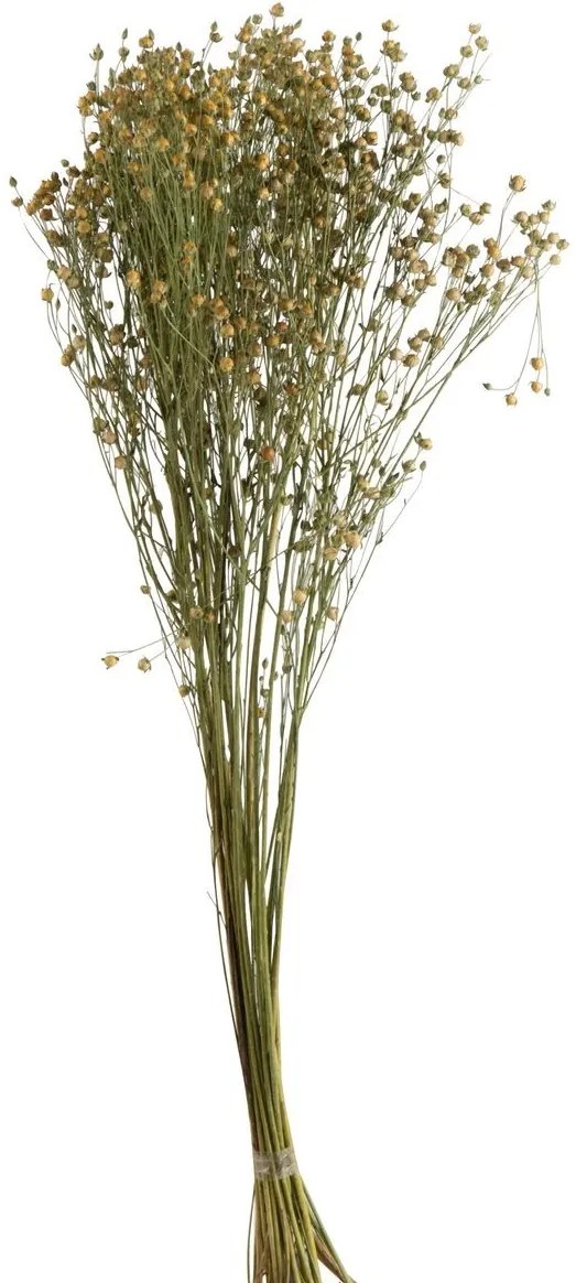 Zväzok sušených kvetov - 12 * 10 * 70 cm