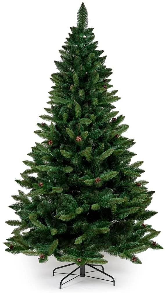 Borovica so šiškami- 250 cm