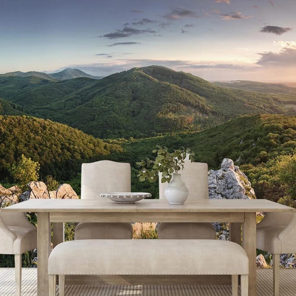 Samolepiaca fototapeta príroda zaliata slnkom