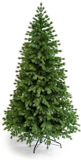 Limpol Jedľa Zuza 2,40 m