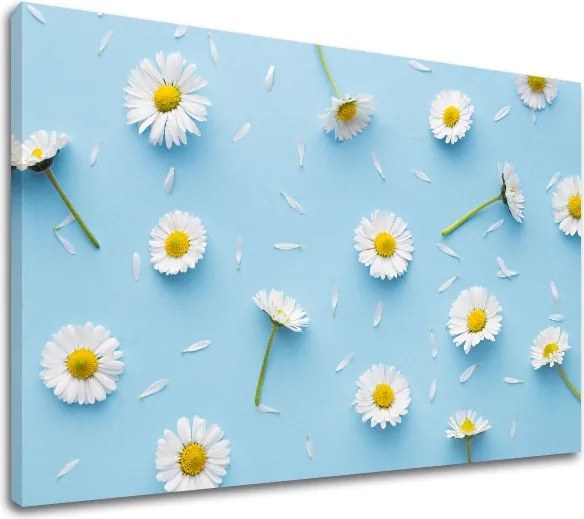 Obraz na stenu BIELE KVETY_163-11