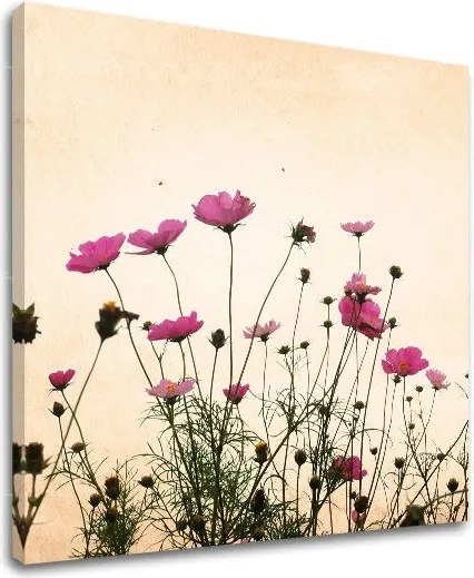 Obraz na stenu KVETY KV011E12 - 40x40 cm