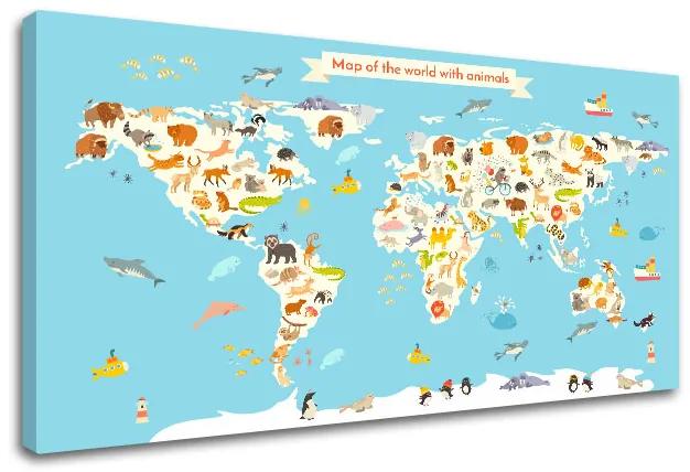 Obraz na stenu MAPY_011 | rôzne rozmery