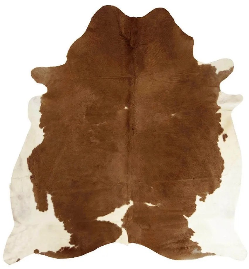 Koberec kravská koža hnedá / biela - 250 * 150 * 0,3 cm Koberec kravská koža hnedá / biela - 250 * 150 * 0,3 cm