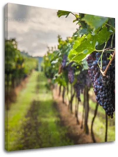 Obraz na stenu HROZNO_091-12 | rôzne rozmery