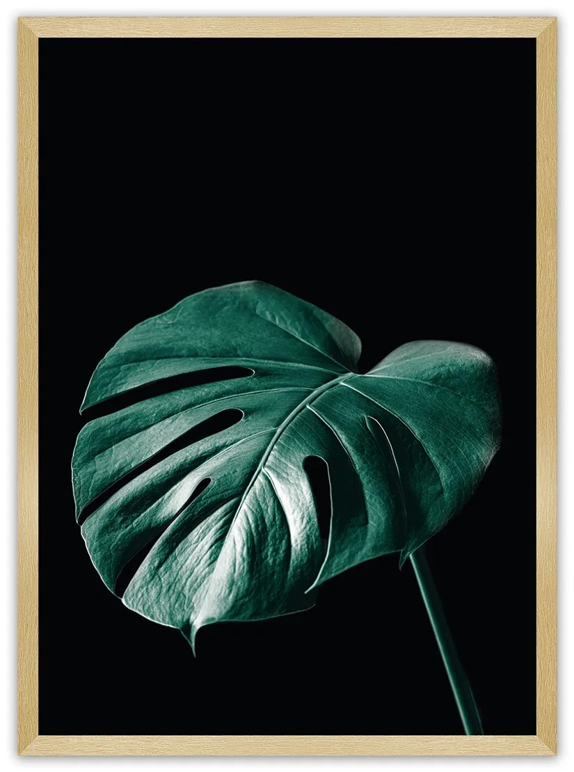 Plagát Dark Monstera