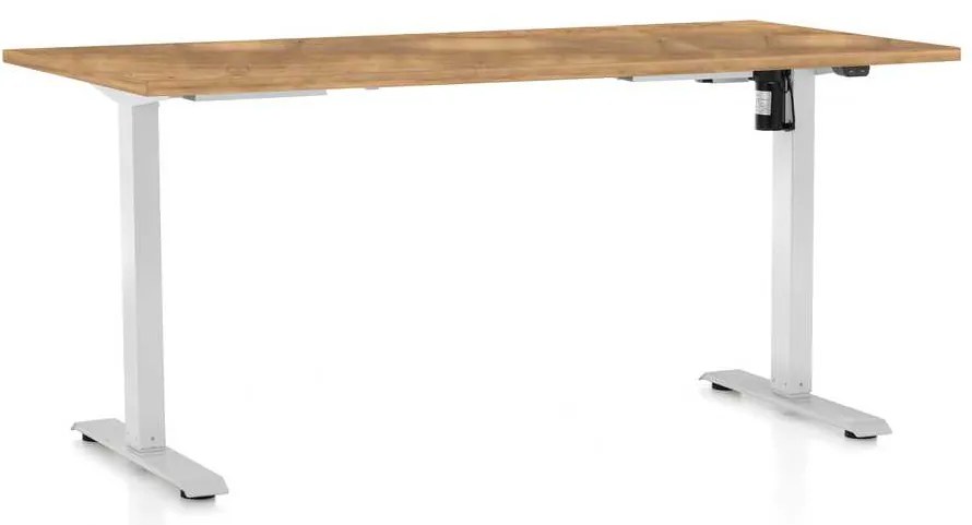 Výškovo nastaviteľný stôl OfficeTech A, 160 x 80 cm, biela podnož, dub zlatý