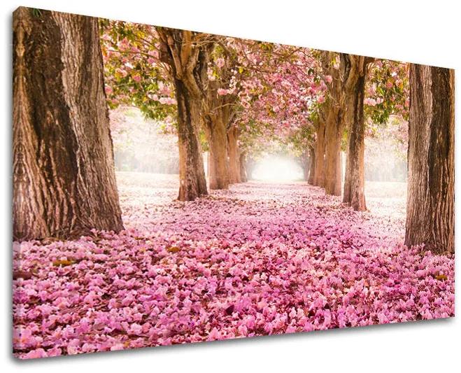 Obraz na stenu STROMY | rôzne rozmery