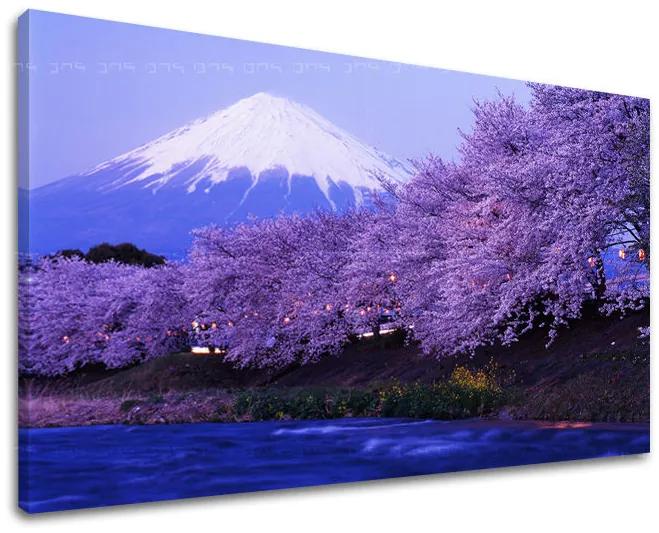 Obraz na stenu KRAJINA | rôzne rozmery