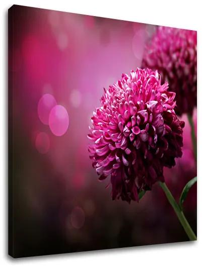 Obraz na stenu RUŽOVÉ KVETY_149-11 | rôzne rozmery