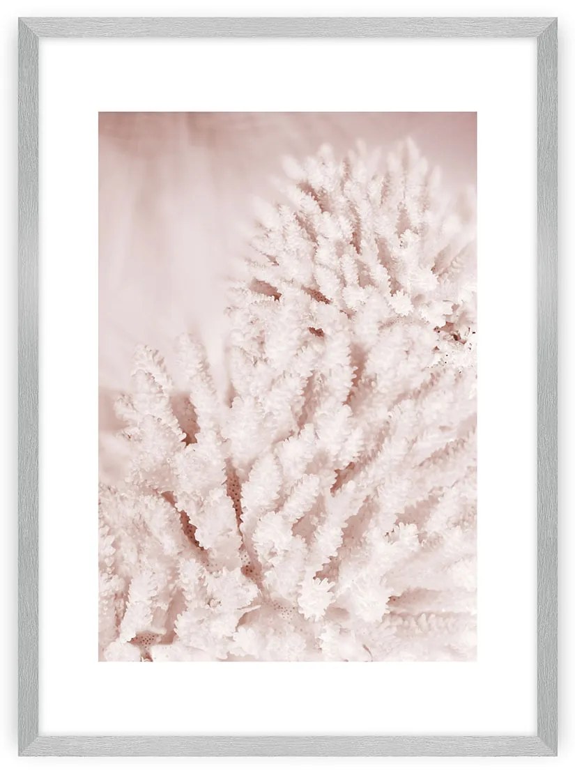 Plagát Pastel Pink II