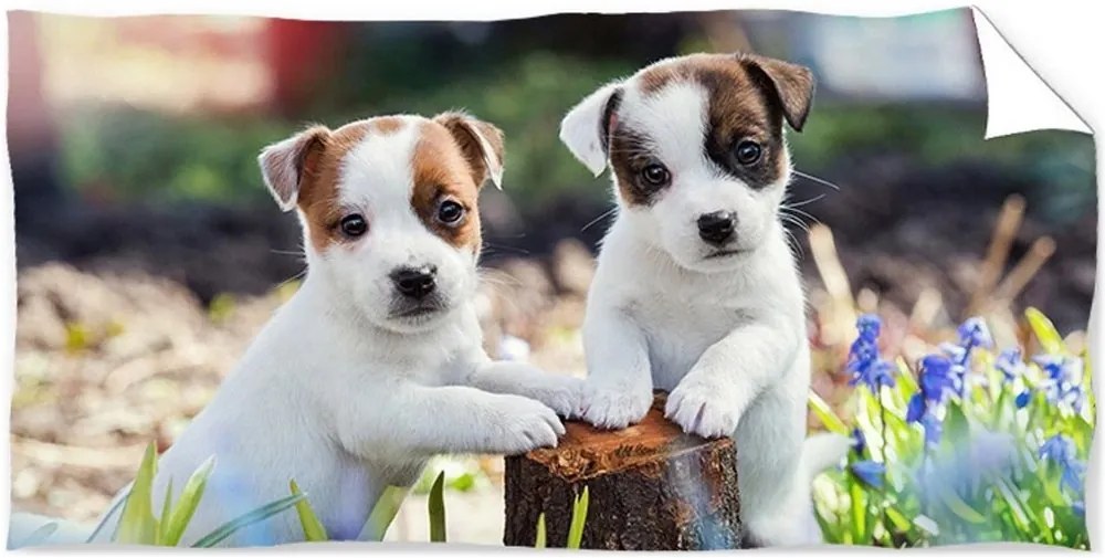 Bavlnená plážová osuška Jack Russell Teriér - 100% bavlna - 70 x 140 cm