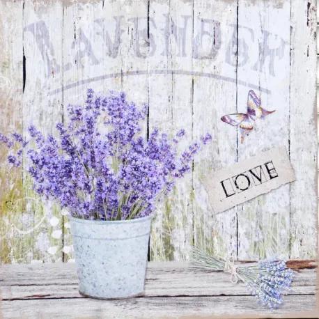 Obraz tlačený na plátne 40x40 PRC970