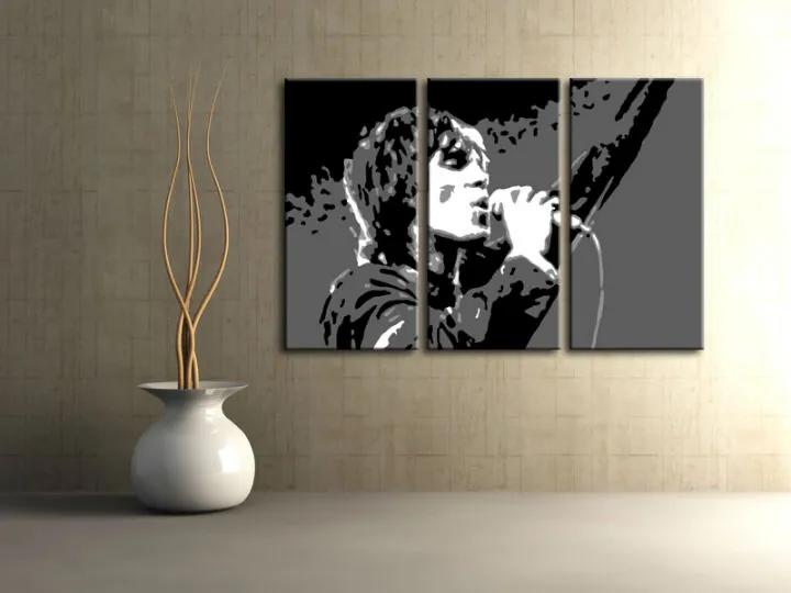 Ručne maľovaný POP Art obraz Ian Brown | rôzne rozmery