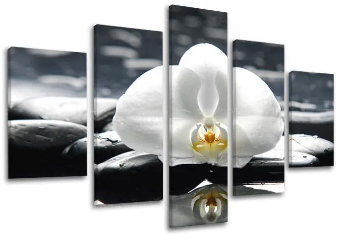 Obraz na stenu FENG SHUI | rôzne rozmery