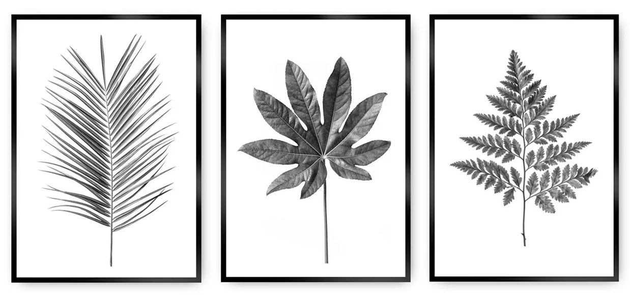 Súbor obrazov Tropical Grey 3 ks