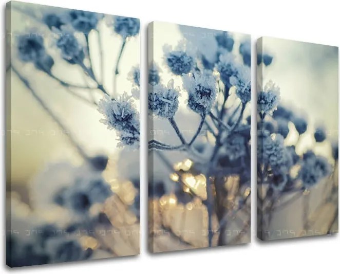 Obraz na stenu 3 dielny KVETY KV069E30 - 120x80 cm