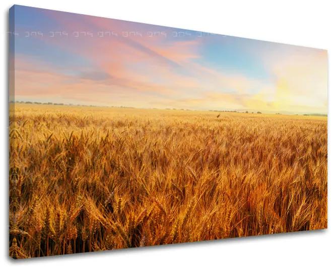 Obraz na stenu KRAJINA | rôzne rozmery