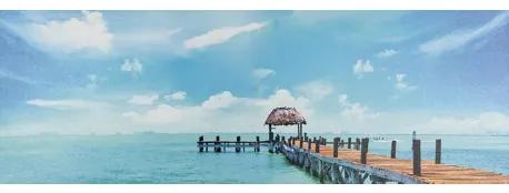 Obraz tlačený na plátne 30x90 PRC1058