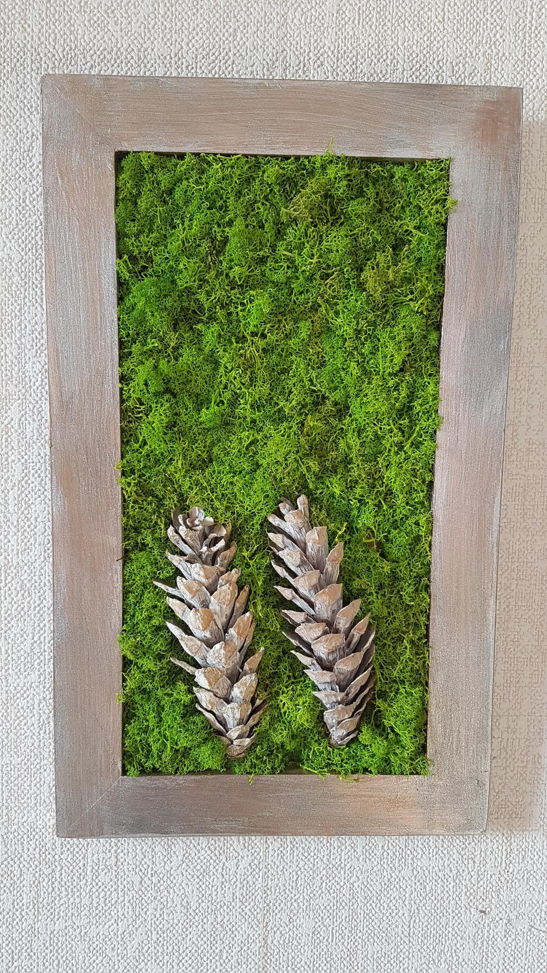 Machový obraz so šiškami 50cm x 30cm