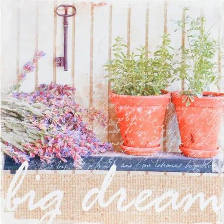 Obraz tlačený na plátne 28x28 PRC905