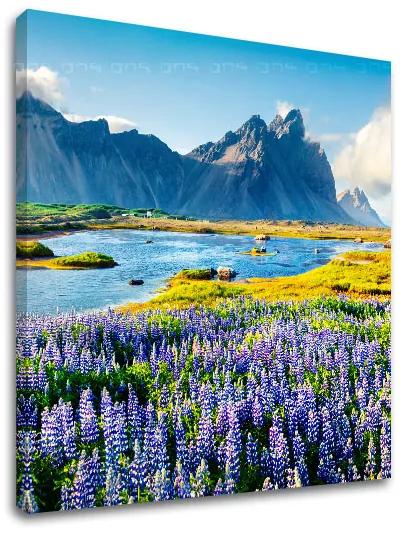 Obraz na stenu LÚKA_047-12 | rôzne rozmery