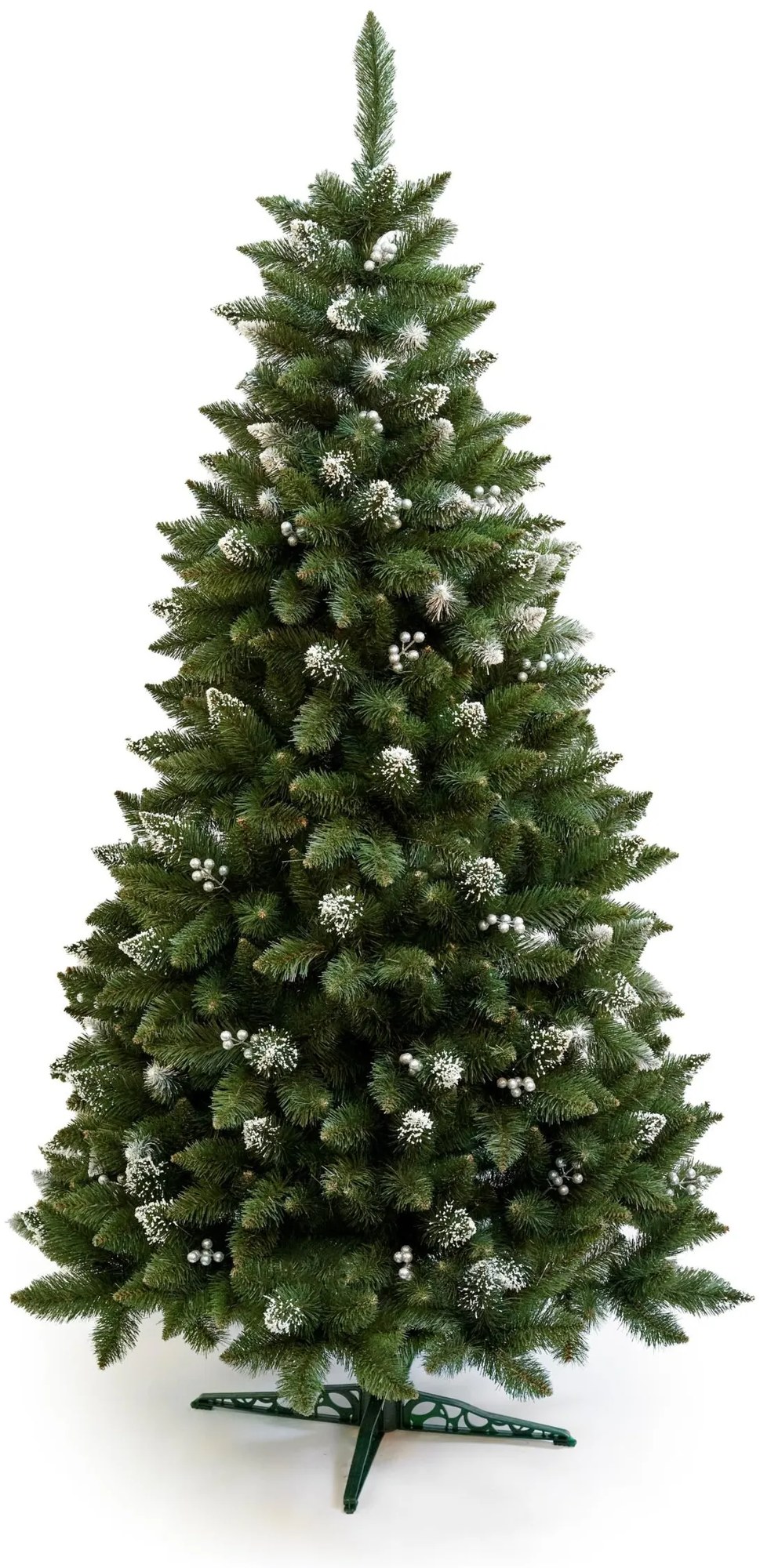 Limpol VIANOČNÝ STROMČEK Borovica Iza Perla Výška stromčeka: 240 cm